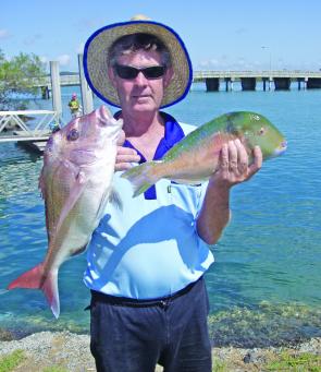 Mixed bags including snapper and tuskfish are the order of the day from the inshore reefs.